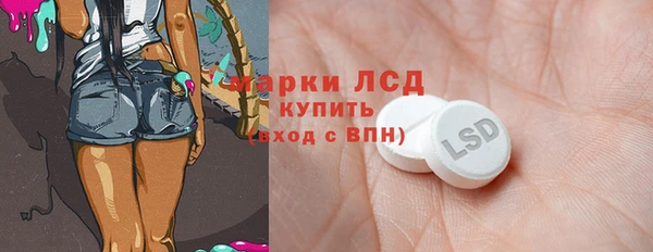 индика Богданович