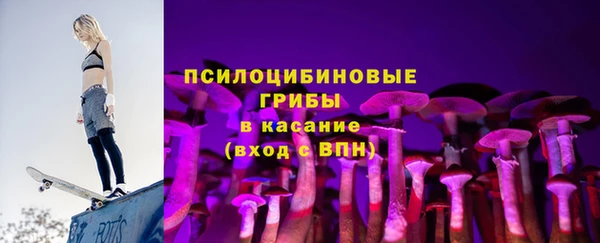 индика Богданович