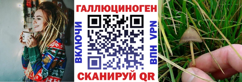Галлюциногенные грибы Magic Shrooms  Ялуторовск 